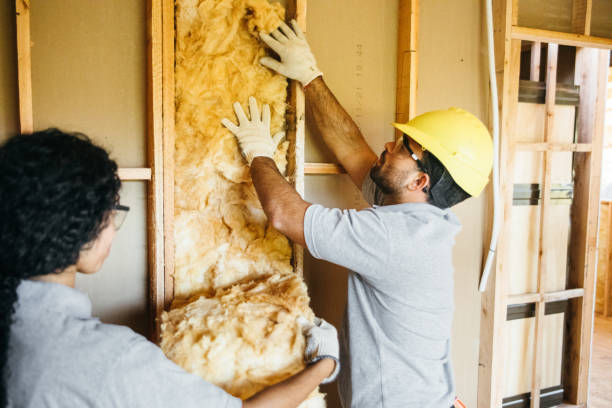  Lakewood Park, FL Insulation Installation & Removal Pros